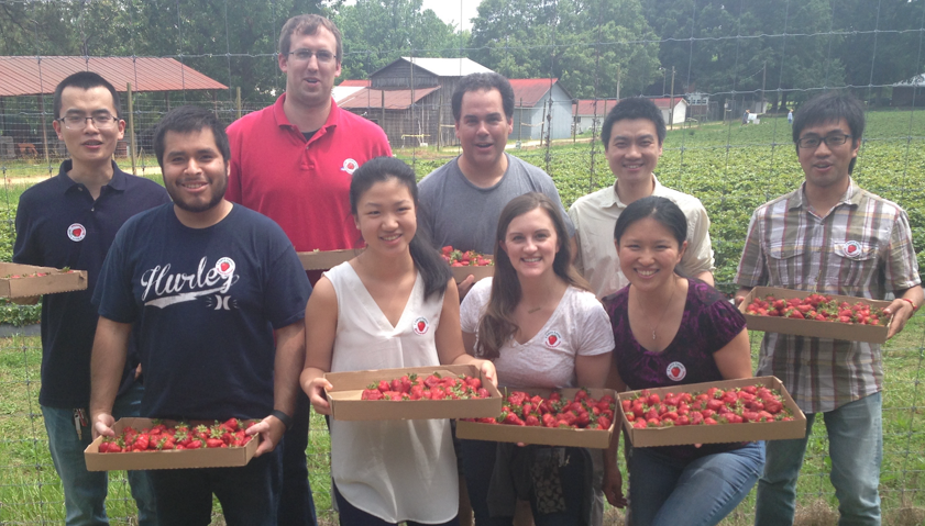 Blobe Lab Strawberry Picking